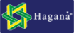 Grupo Hanagá